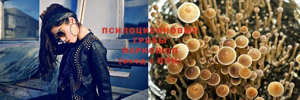 МДМА Сосновка