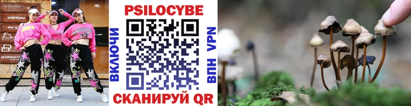 даркнет сайт  Суровикино  Псилоцибиновые грибы прущие грибы 